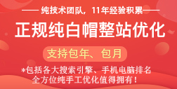 野狼SEO服務介紹