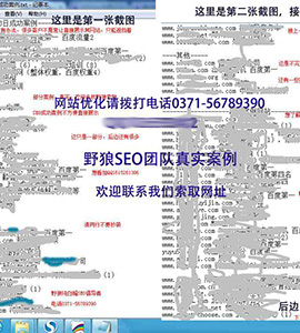 更多SEO案例，不方便展示，歡迎索取